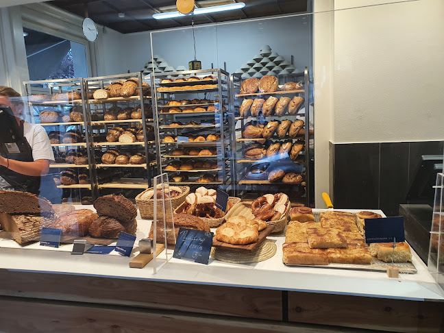 Zasiusstraße 9, 79102 Freiburg im Breisgau, Deutschland