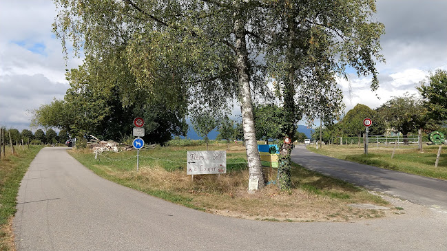 Opinii despre Self Cut Flowers în Tannay - Gastronomie und Hotellerie