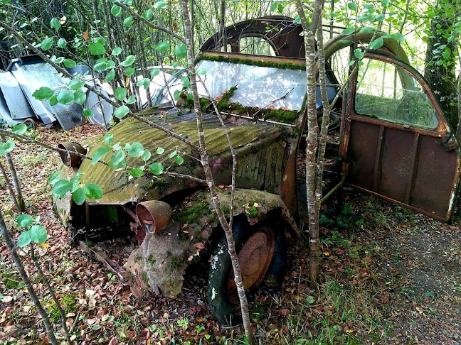 Baja Beach Club - Gastronomie und Hotellerie