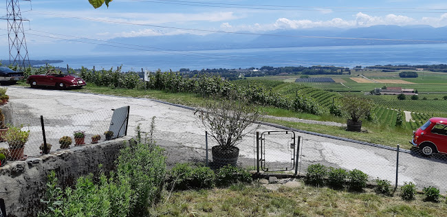 Mr. Daniel Bovy - Gastronomie und Hotellerie