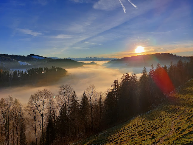 Alpwirtschaft Tierhag - Gastronomie und Hotellerie