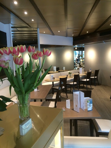 Gutstrasse 2, 8055 Zürich