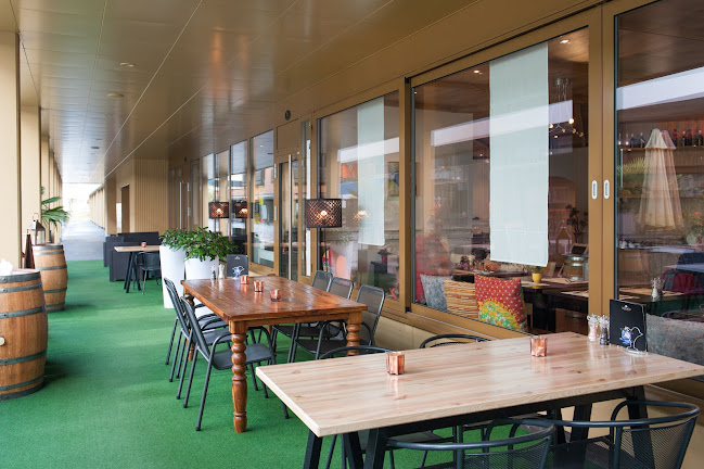 Comentarii opinii despre Enzian