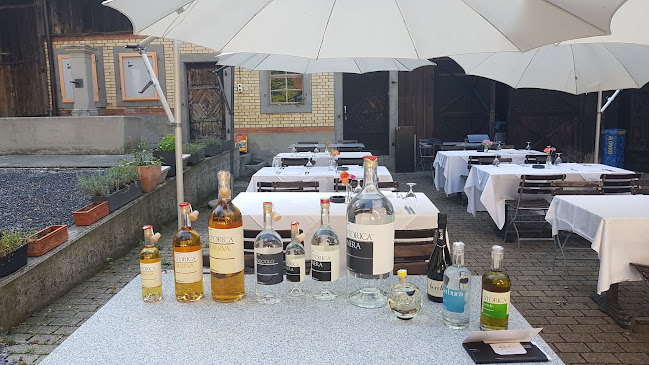 Comentarii opinii despre Restaurant Henessenmühle