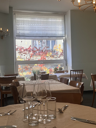 Comentarii opinii despre Paneolio