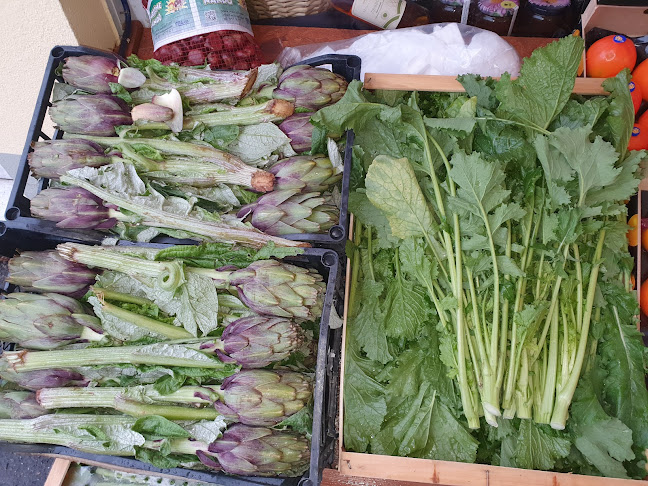 Warmbacher Str. 23, 79618 Rheinfelden (Baden), Deutschland