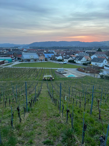 Comentarii opinii despre Weingut zum Sternen
