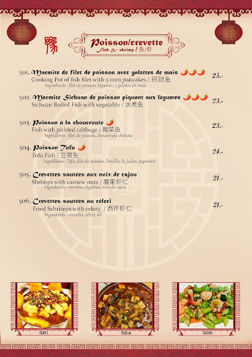 Restaurant Henan 河南人家 - Renens