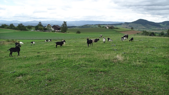Restaurant Dornhof - Magden