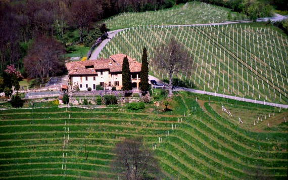 Opinii despre Tenuta Bally & von Teufenstein în Vezia - Gastronomie und Hotellerie