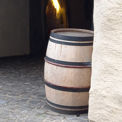 Comentarii opinii despre Vino Time