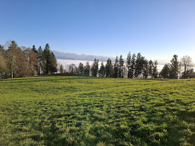 Comentarii opinii despre Bachtel-Ranch