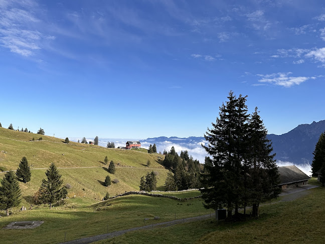 Comentarii opinii despre Hotel | Restaurant Berghaus Malbun Buchserberg