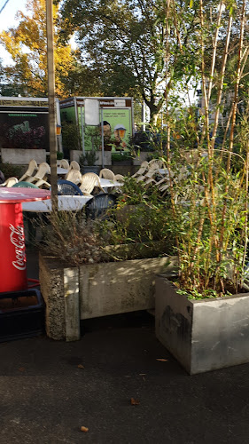 Opinii despre Fantasy Bar în Zürich - Gastronomie und Hotellerie