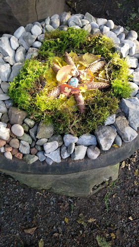 Opinii despre Museums-Café Ziegelei-Museum în Hagendorn - Gastronomie und Hotellerie