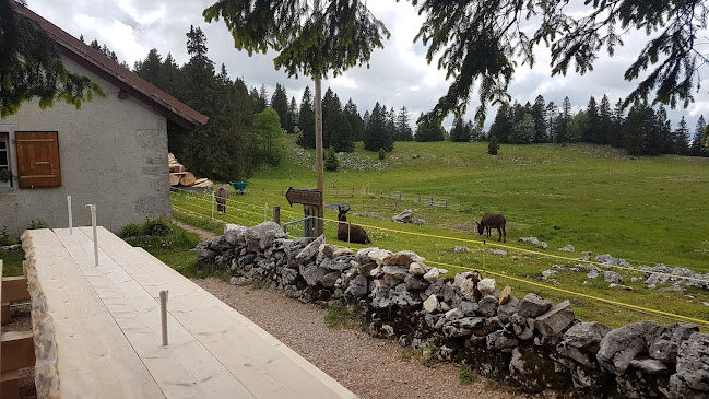 Les Tempêteries, 1453 Bullet