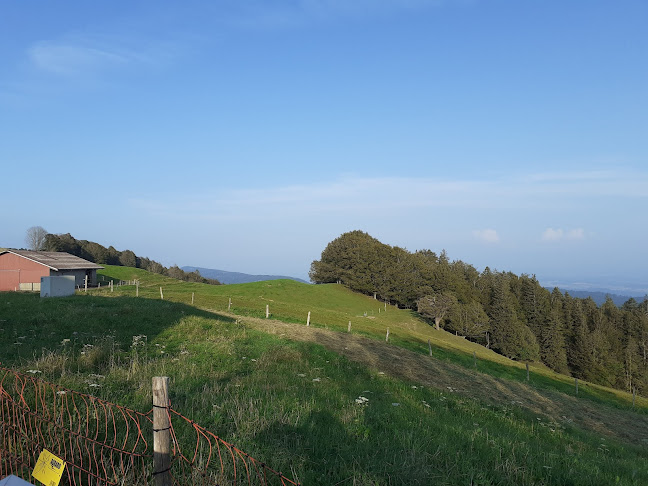 Comentarii opinii despre La Werdtberg Hôtel, Restaurant. Chez Armon et Felix