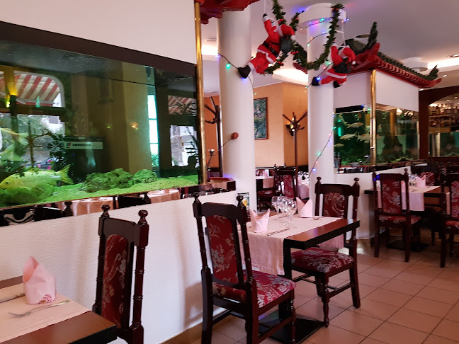 Rue Jacques-Dalphin 11, 1227 Carouge