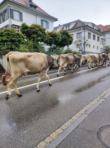 Hauptstrasse 12, 9042 Speicher