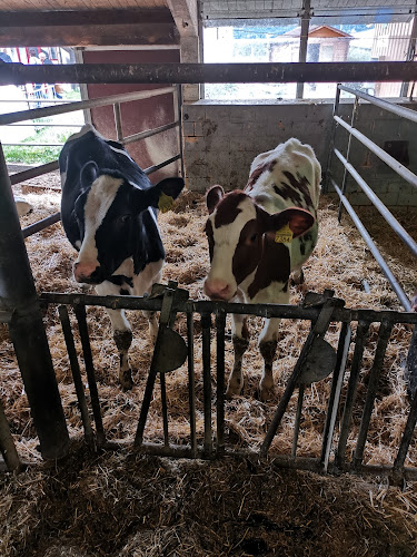 Lindenhof "Freilandeier", Barbara und Erich Eberle - Wittenbach