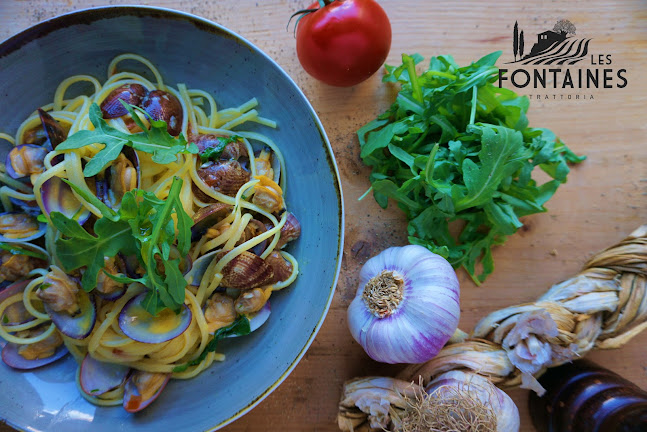 Opinii despre Restaurant Les Fontaines în Nyon - Gastronomie und Hotellerie