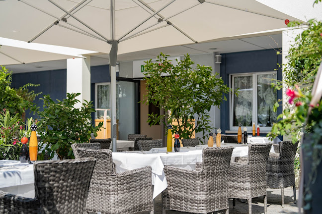 Comentarii opinii despre Dolce Vita