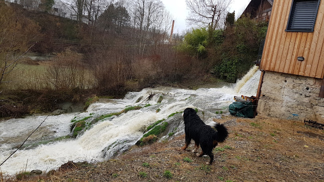 Opinii despre Mühle-Stübli GmbH în Oberbüren - Gastronomie und Hotellerie