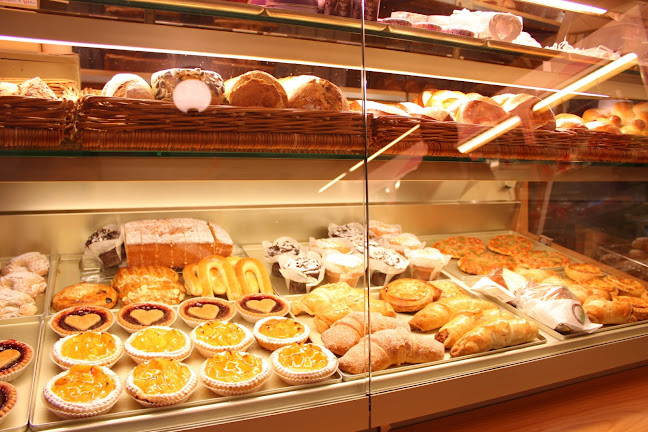 Fischbacher-Beck - Wil