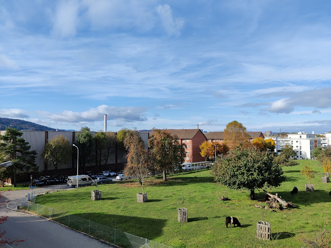 Kafi Im Tänn - Gastronomie und Hotellerie