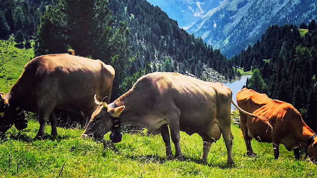 Peppone Catering - Gastronomie und Hotellerie