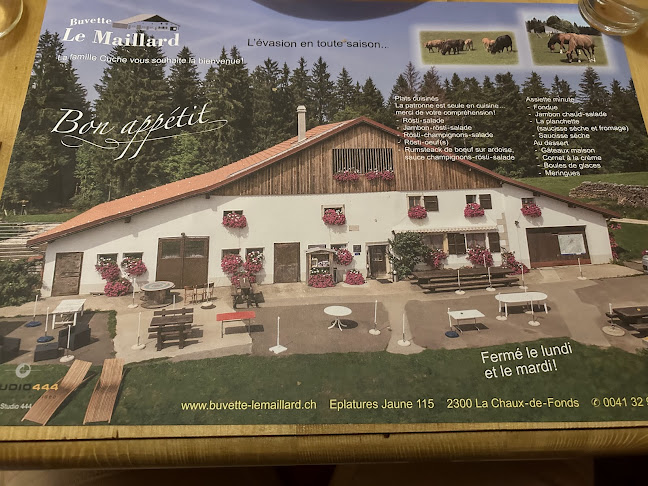 Comentarii opinii despre du Maillard