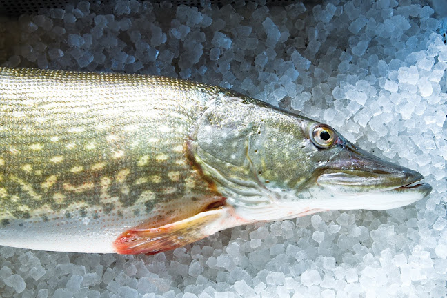 Jägerhaus - Gastronomie und Hotellerie