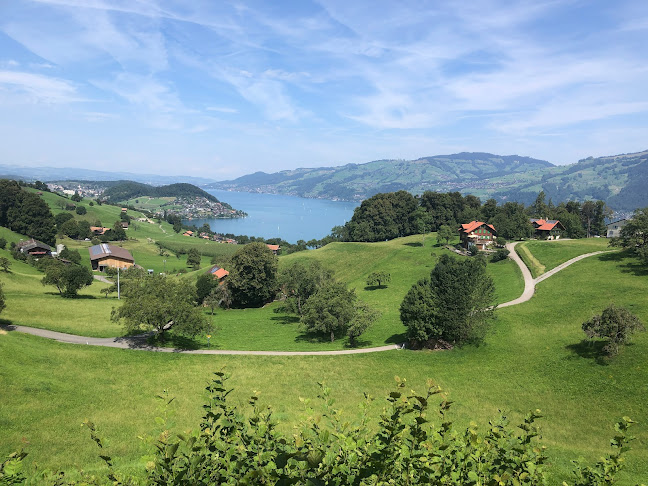 Comentarii opinii despre Restaurant Hotel Walliserstube