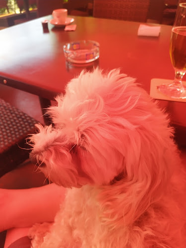 Restaurant de Fontenay - Gastronomie und Hotellerie