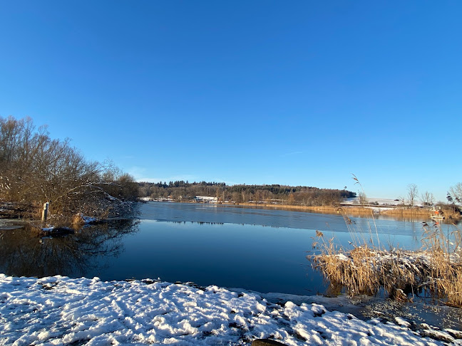 Comentarii opinii despre Moossee