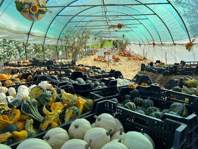 Self-Fruits Perroud - Gastronomie und Hotellerie