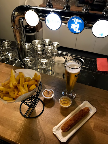 Comentarii opinii despre BELGA