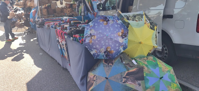 Comentarii opinii despre Landvogteimarkt Grüningen