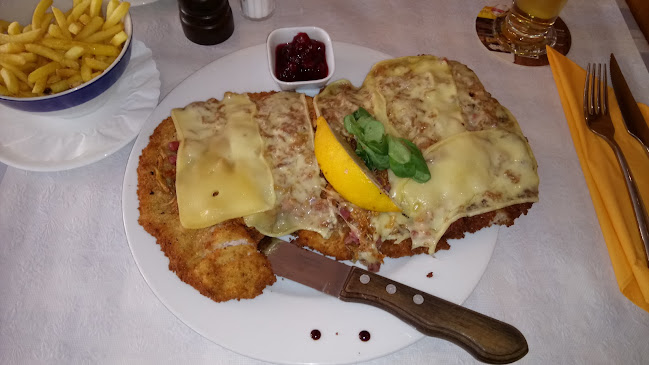 Comentarii opinii despre Schnitzelhuus Oerlikon