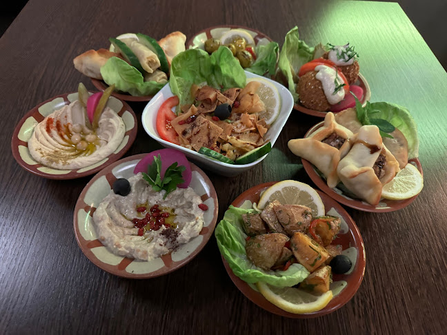 Comentarii opinii despre Restaurant Mont Liban Bern