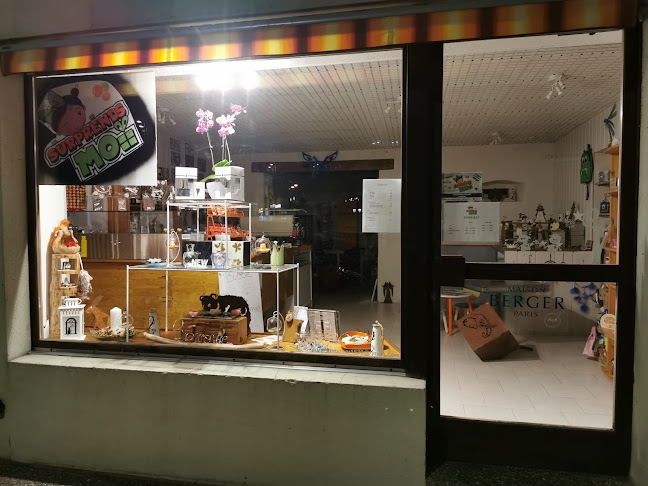 Comentarii opinii despre Surprends-moi