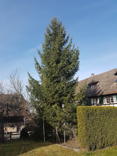 Bahnhof - Gastronomie und Hotellerie