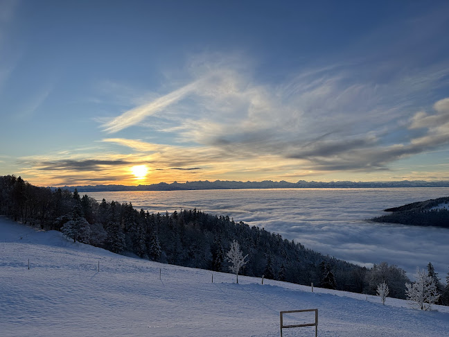 Comentarii opinii despre La Werdtberg Hôtel, Restaurant. Chez Armon et Felix