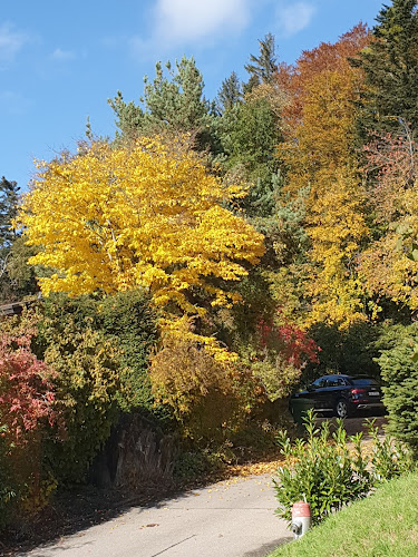 Comentarii opinii despre Der Landladen