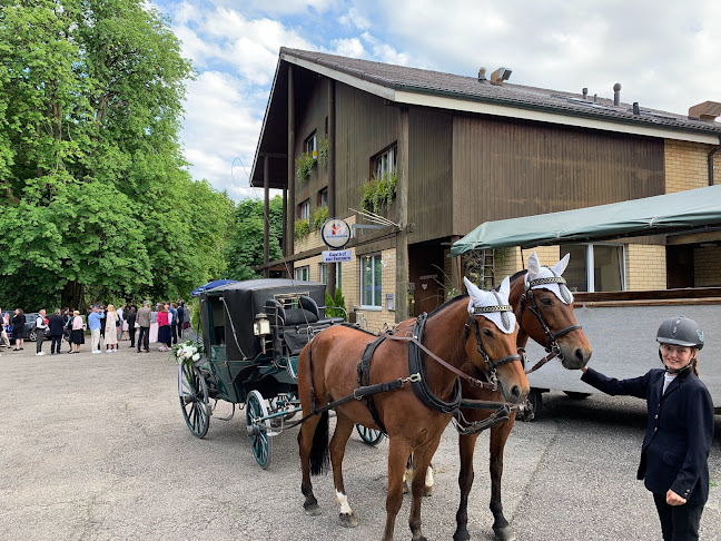 Opinii despre Gasthof zur Fennern în Brittnau - Gastronomie und Hotellerie