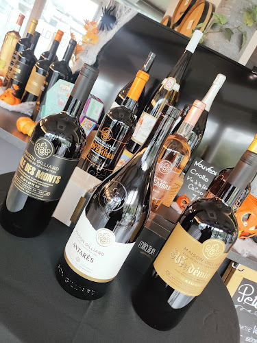 Rte du Manège 79, 1950 Sion