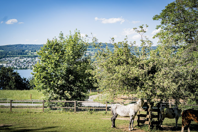 Austrasse 59, 8804 Au ZH