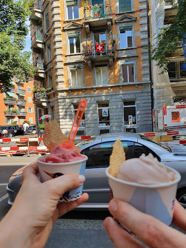 EISVOGEL ZENTRALE FÜR GUTES - Zürich