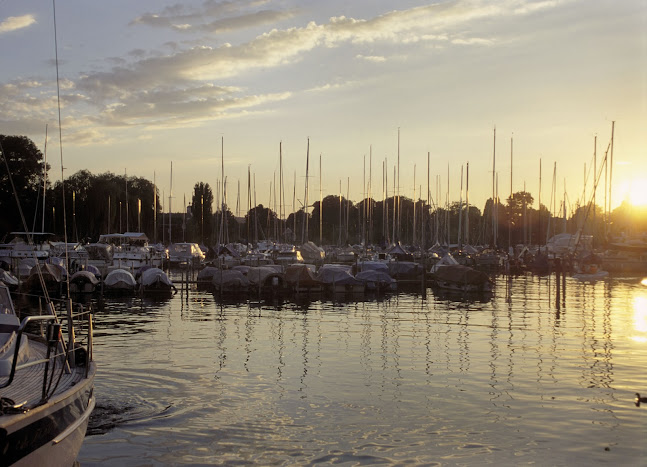 Seegarten - Gastronomie und Hotellerie