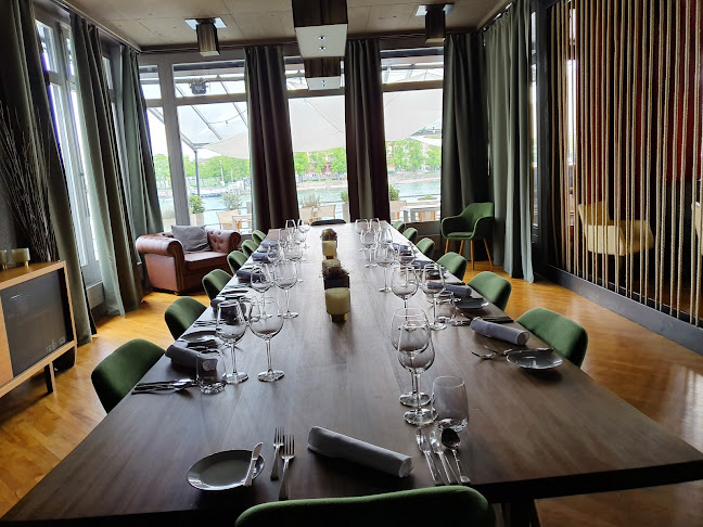 Comentarii opinii despre roots